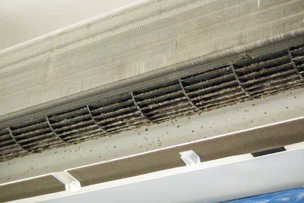 Best Emergency Air Duct Cleaning  in Lubeck, WV