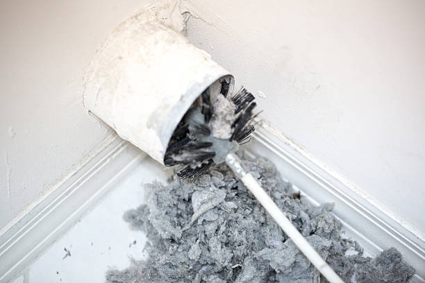 Best Duct Cleaning for Offices  in Lubeck, WV